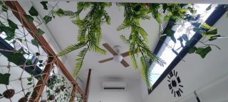 Tiny House de 2 plantas, 2 dormitorios y amueblada
