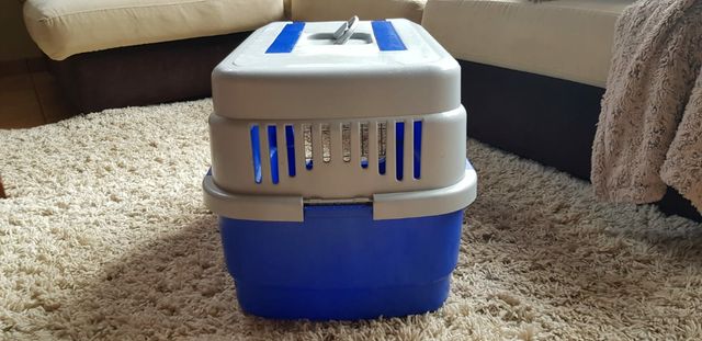 Lámpara de techo Salón / Comedor. Moderna / Diseño