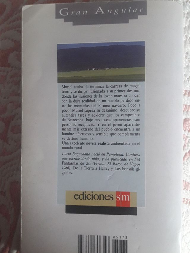 Cinco panes de cebada