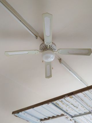 Ventiladores de Techo segunda mano en la provincia de Ventilador de techo con luz y mando de segunda mano por 55