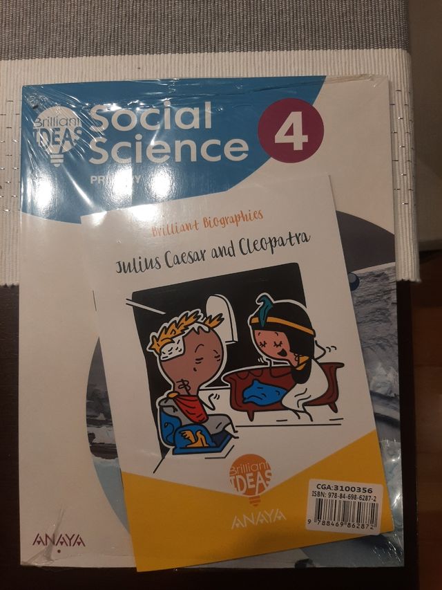 SOCIAL SCIENCIE BRILLANT IDEAS 4 PRIMARIA