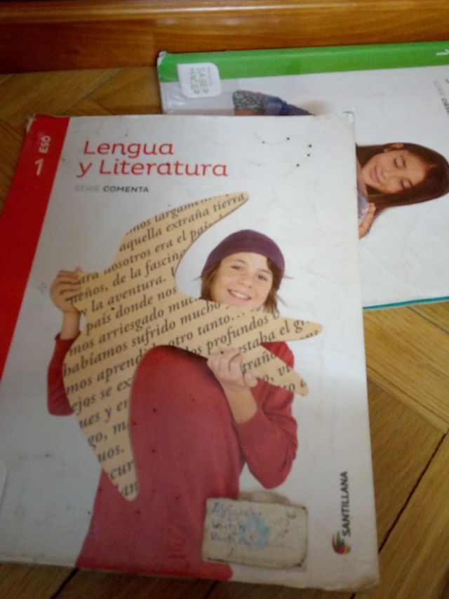 lengua y literatura 1 eso