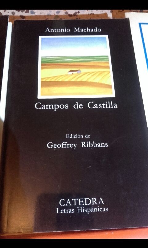 Libros literatura española