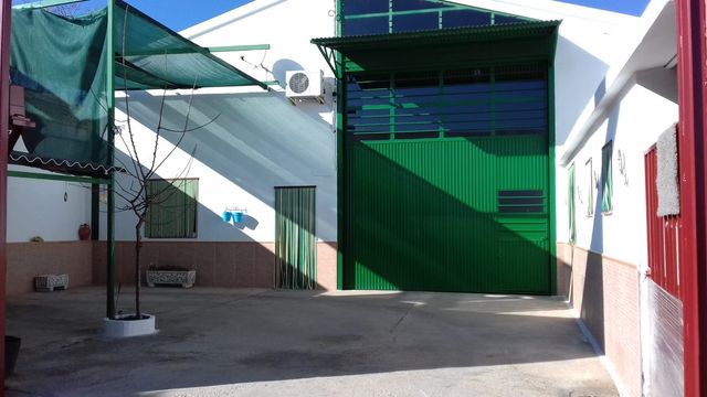 Oficina - Local en venta