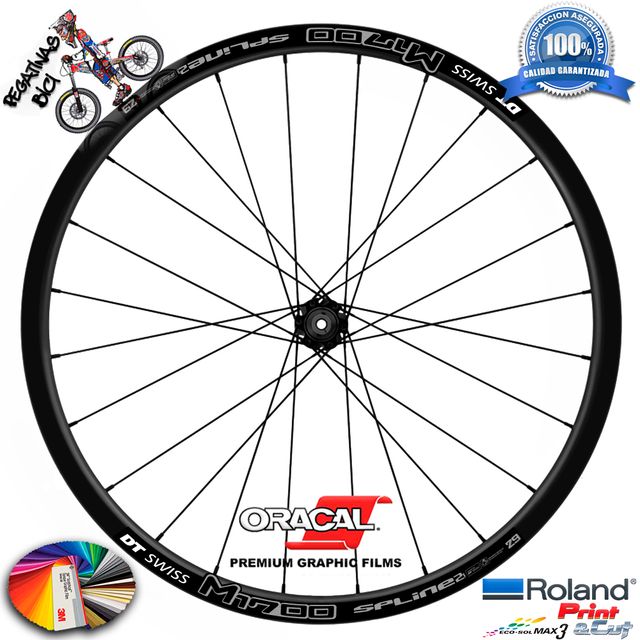 Pegatinas llantas bici dt swiss 1700 bicolor wh46