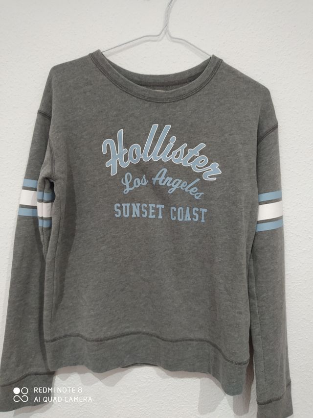 Sudadera Hollister