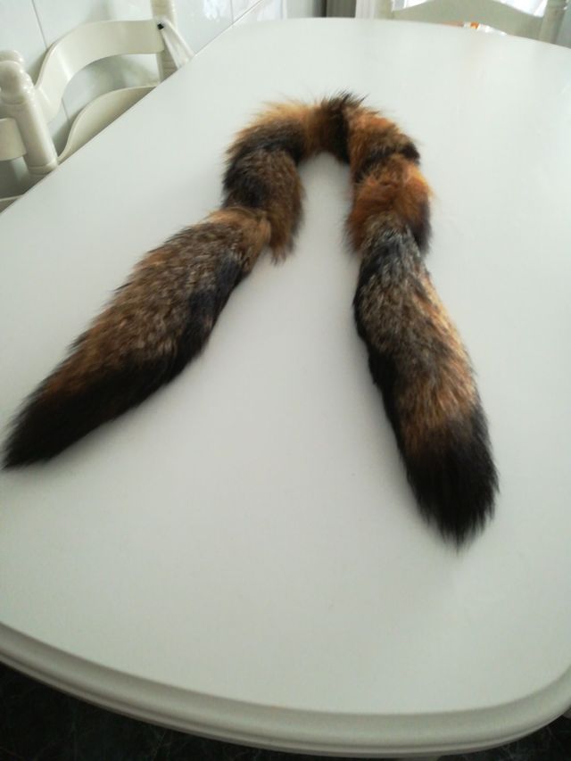 Cuello  piel auténtico. Nuevo