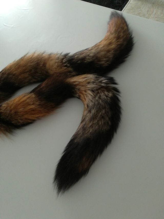 Cuello  piel auténtico. Nuevo