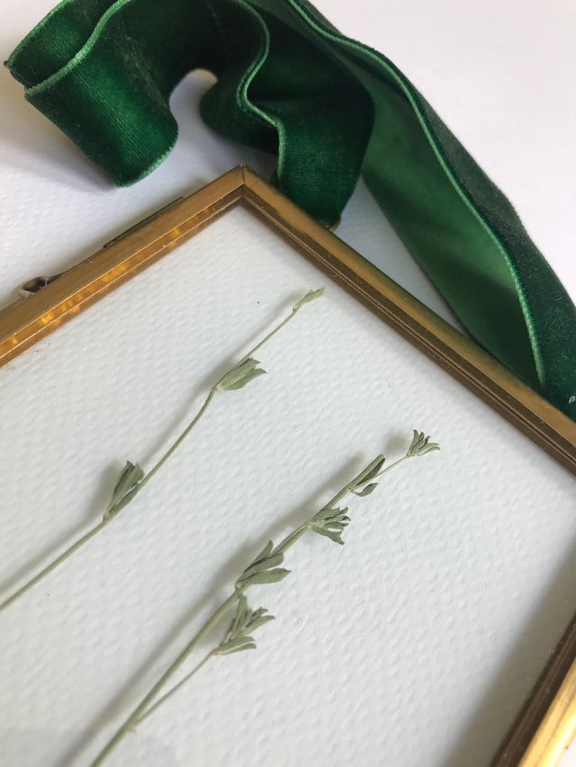 Herbario de Tomillo, desde 22€