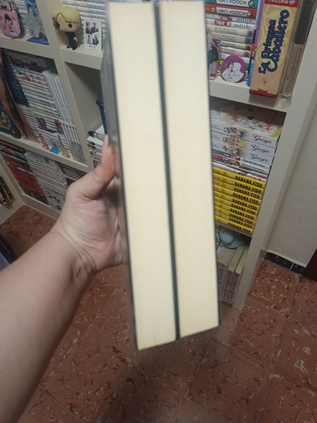 Pack Medianoche (libro)