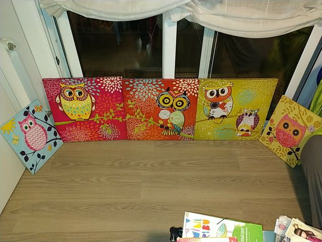 Lote cuadros buhos (lote o separados)