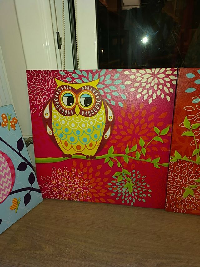 Lote cuadros buhos (lote o separados)