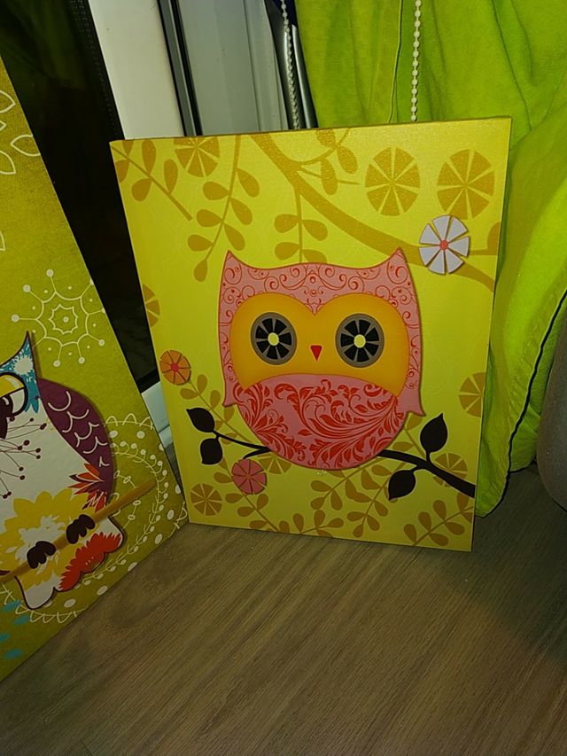 Lote cuadros buhos (lote o separados)