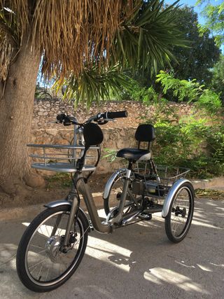 triciclos electricos monty 132 de ocasion