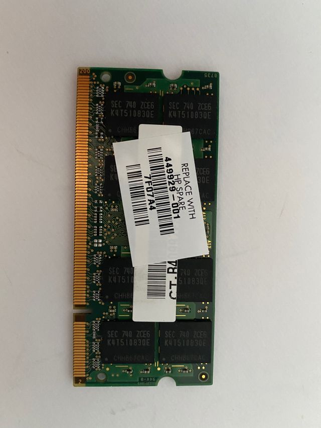 Memoria RAM da 1 GB (DDR2, 667 MHz), marchio Samsung