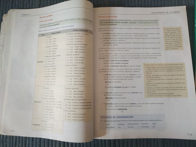 Lengua Castellana y Literatura 1 Bachillerato