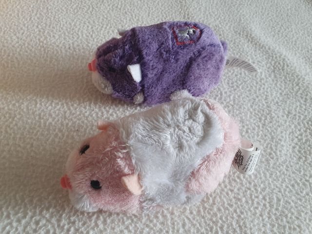 Zhun-Zhun Princess El Salón de Baile