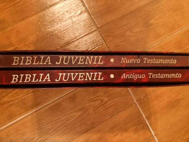 Biblia Juvenil