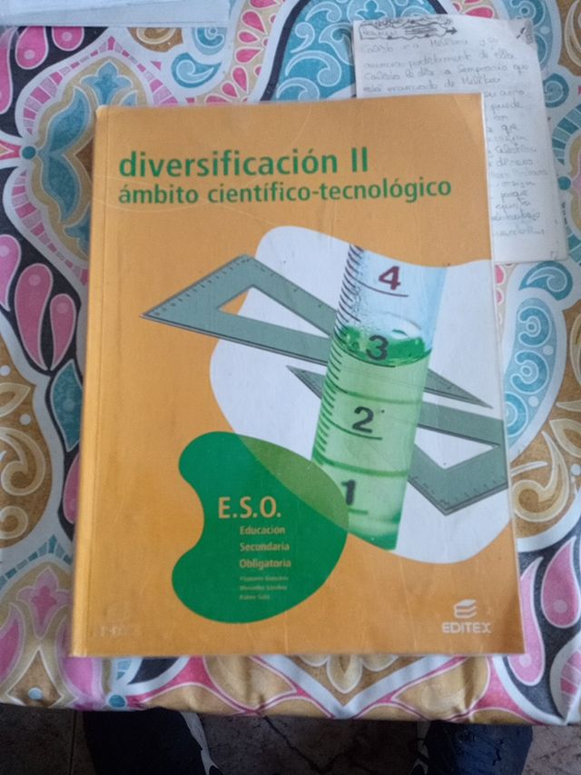 Diversificacion 2