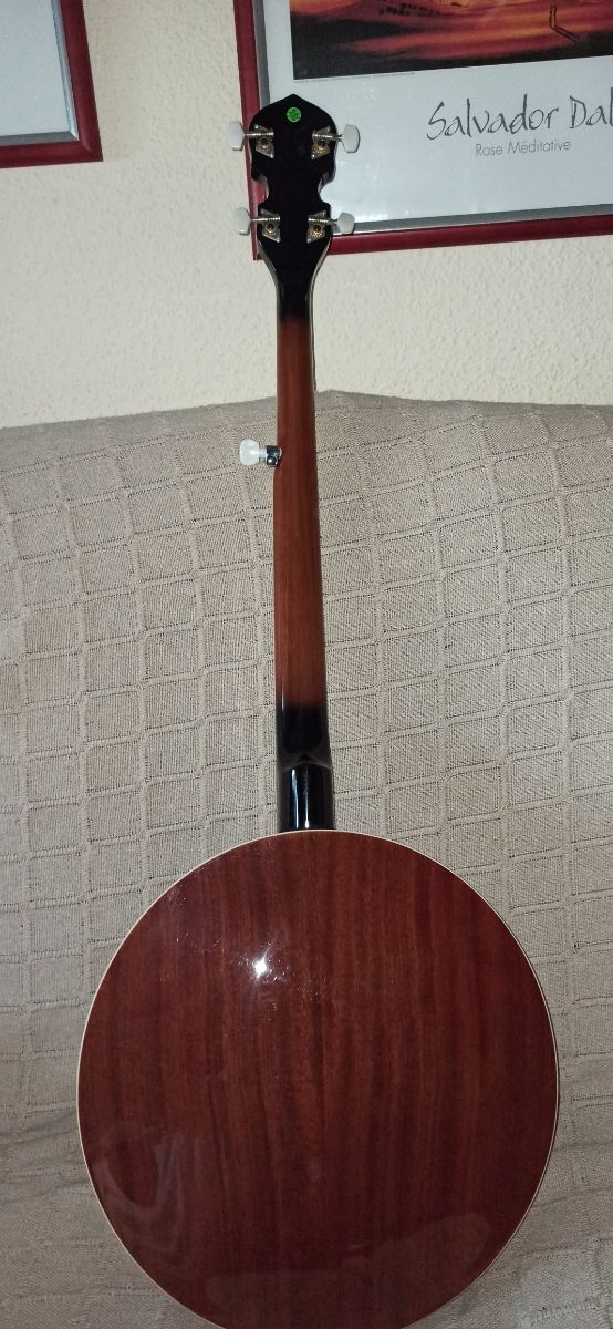 Banjo Harley Benton ZURDOS de segunda mano por 100 € en Córdoba en WALLAPOP