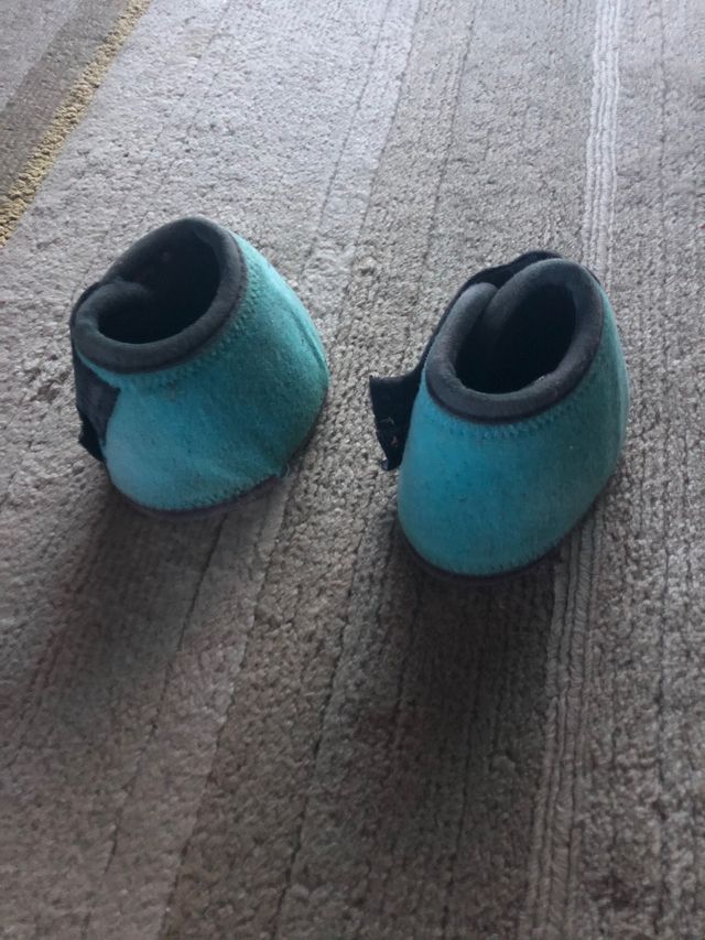 Campanas equitación