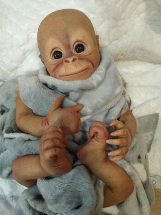 chimpance reborn
