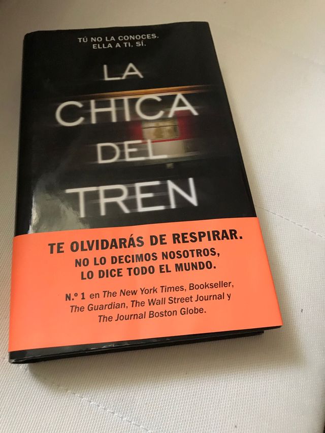 La ragazza sul treno