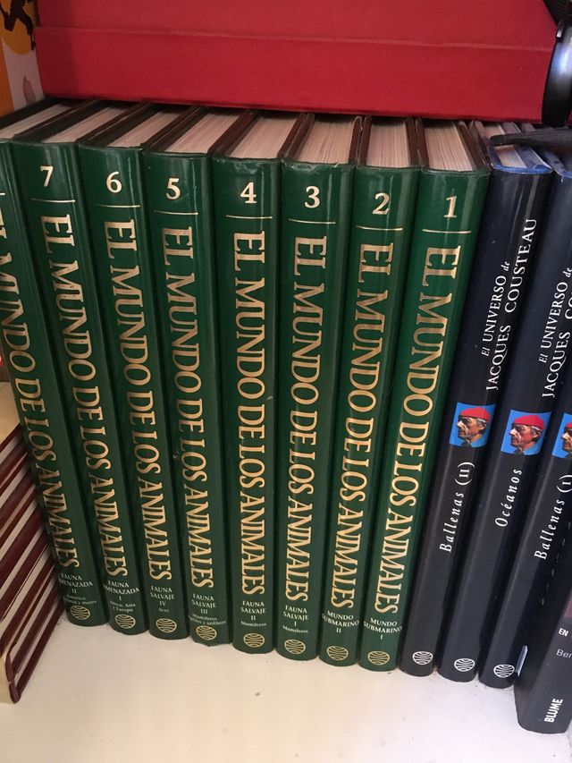 Video laserdisc pioneer