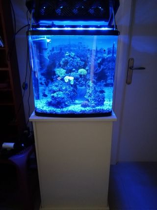 Acuario Marino De Segunda Mano En Sevilla En Wallapop