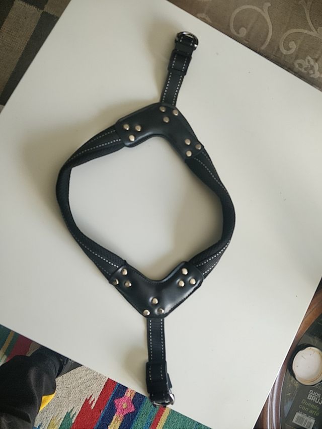 arnés para perro o gato