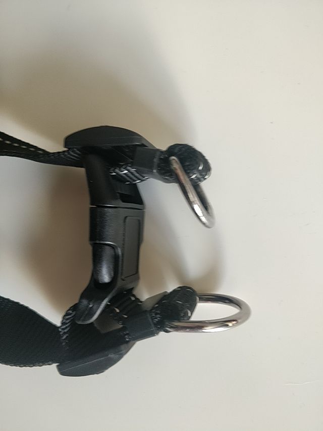 arnés para perro o gato