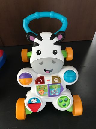 cebra parlanchina primeros pasos