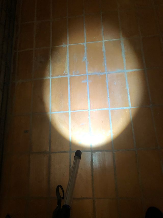 Lampara de mano LED PHILIPS