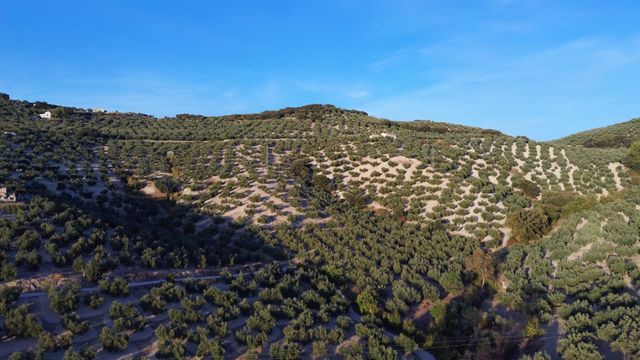 Drone Xiaomi Fimi X8 SE Black Edition REBAJADO