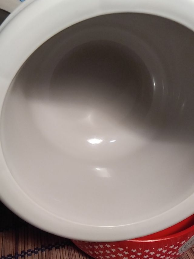 Termos Jané para papilla. Pack de 2uds 8€.