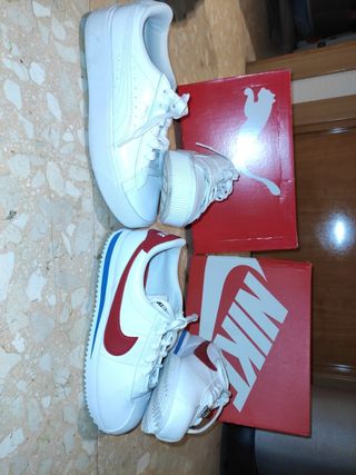 puma tipo cortez