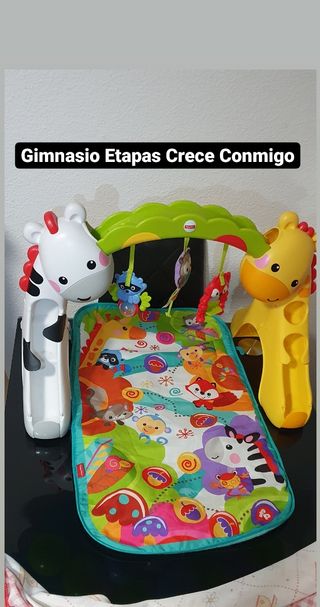 gimnasio etapas crece conmigo