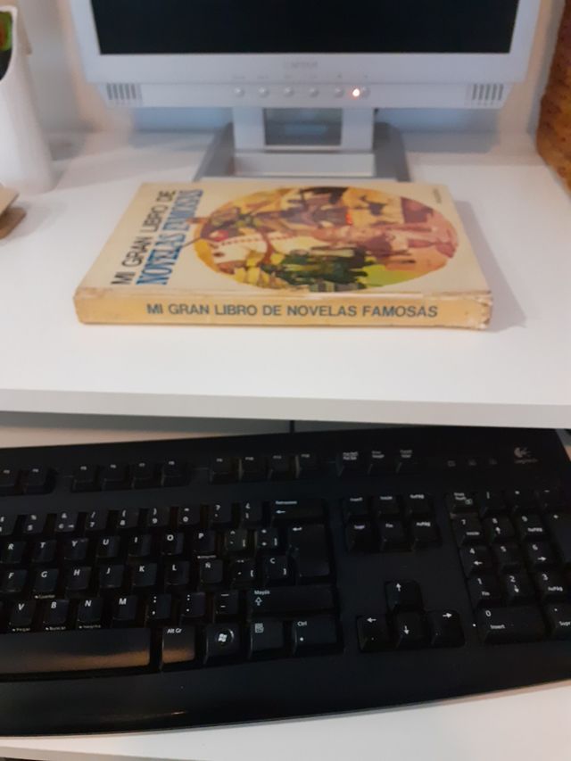 Mi gran libro de novelas famosas