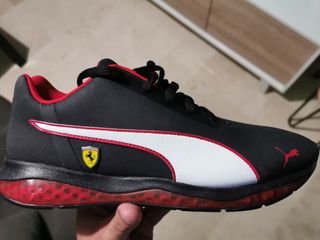 Botines ferrari Clearance