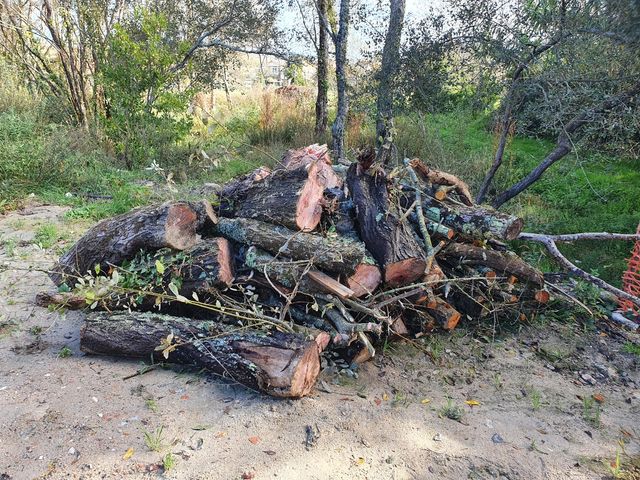 Leña calefacción 100 € 4m3