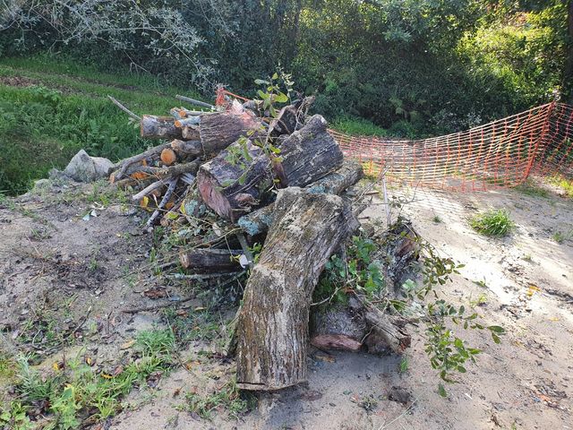 Leña calefacción 100 € 4m3