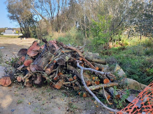 Leña calefacción 100 € 4m3