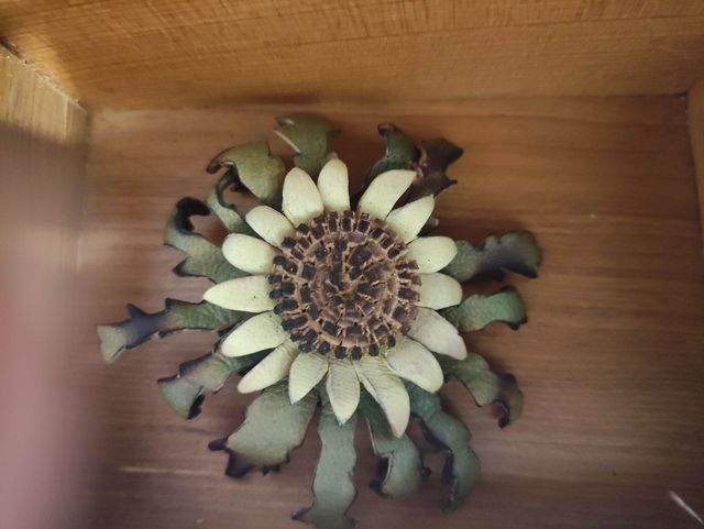 Piel. Artesanía en cuero. Eguzkilore