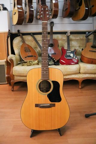 Guitarra Acústica Walden D310T de segunda mano por 120 EUR en Elche en  WALLAPOP