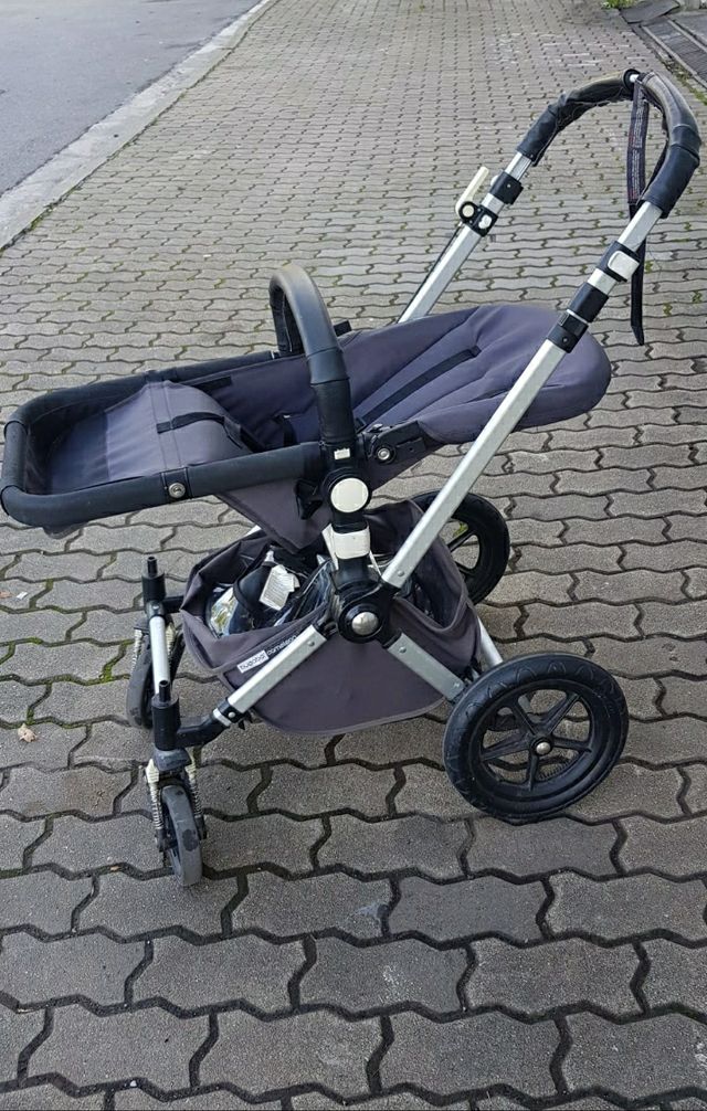 BUGABOO CAMALEÓN