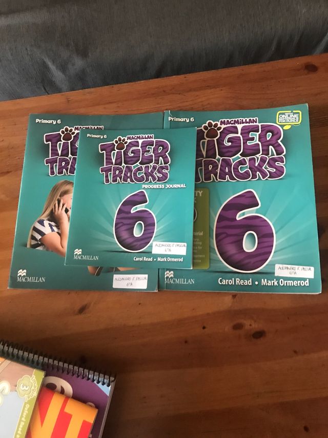 Libros inglés 6 primaria