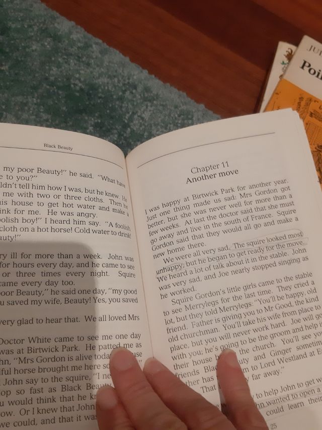 black beauty