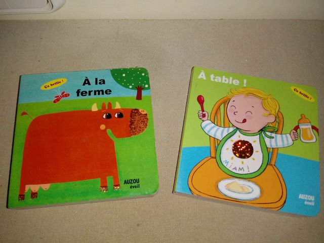 lote de 2 libros de francés educación infantil