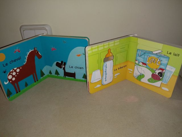 lote de 2 libros de francés educación infantil