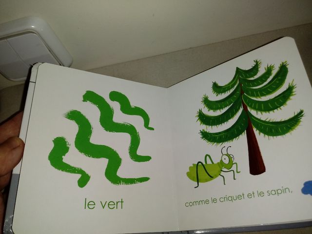 libro les couleurs en francés